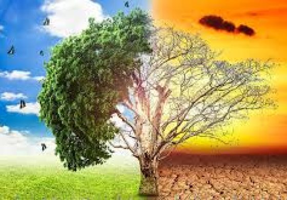 árbol.jpg