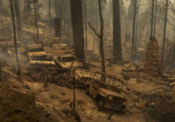 ▲ Una comunidad forestal terminó en cenizas en el área de Meadow Lakes, California, tras uno de los incendios de este mes que se avivaron por las olas de calor récord.
