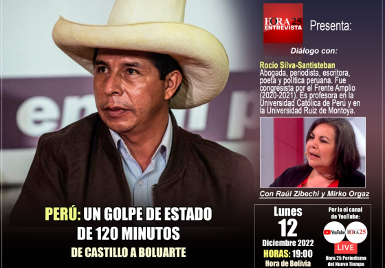 Afiche hora 25