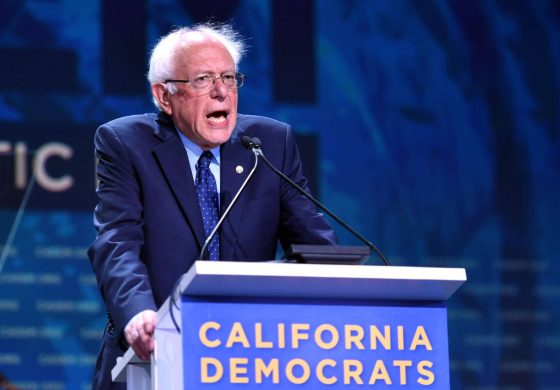 Bernie.jpg