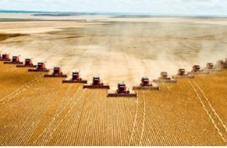 Crisis-alimentaria-y-ecologica.jpg