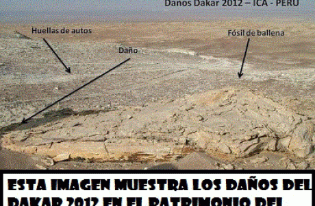 DAKAR.gif