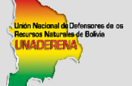 Dibujounaderena.png