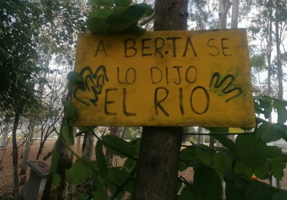 Raúl