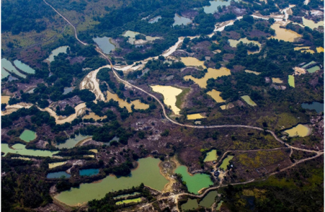 aMAZONIA