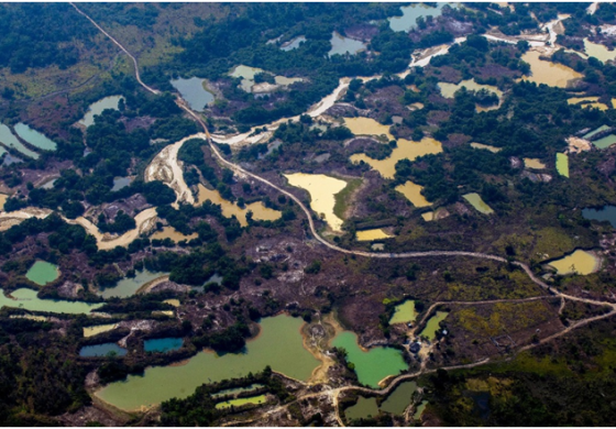 aMAZONIA