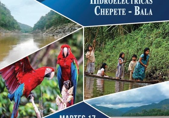 afiche-chepete.jpg