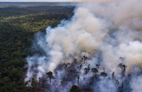 Humo sobre la Amazonía, cerca de una reserva indígena en el estado de Roraima, Brasil, enero de 2019.