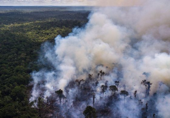 Humo sobre la Amazonía, cerca de una reserva indígena en el estado de Roraima, Brasil, enero de 2019.