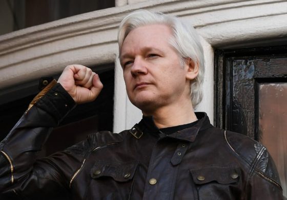 assange2-1024x684