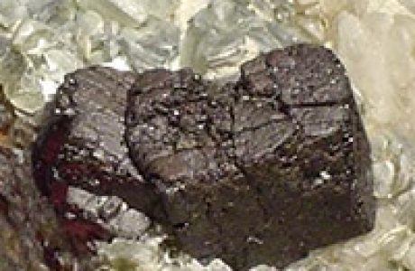 coltan-interior.jpg