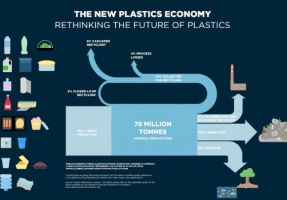 economia-del-plastico.jpg