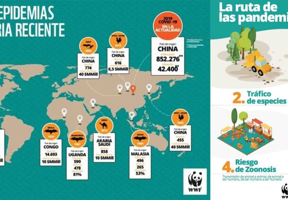 epidemias