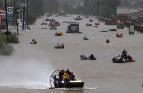 harvey.jpg