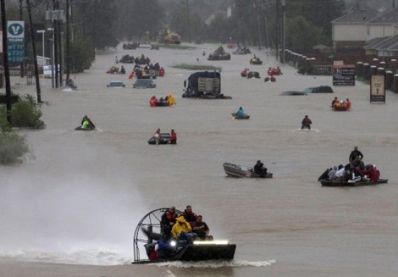 harvey.jpg
