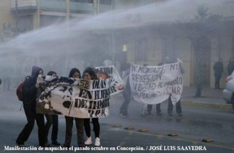 mapuche chile.jpg