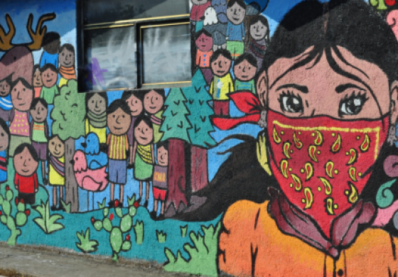 nina-zapatista-graf.png