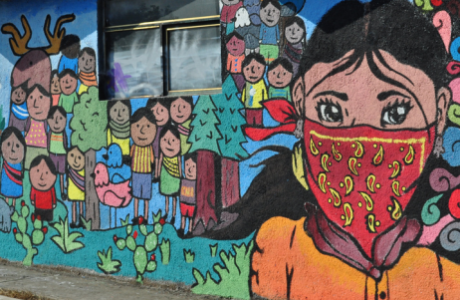 nina-zapatista-graf.png