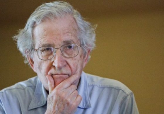 noam.jpg