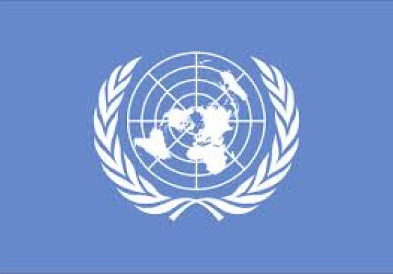 onu.jpg