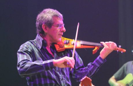 pet-violin.jpg