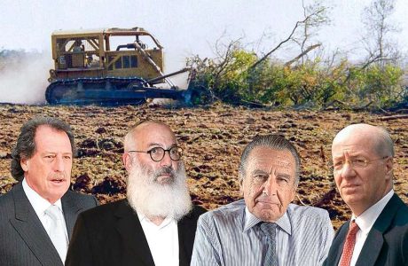 Jorge Brito, Eduardo Elsztain, Eduardo Eurnekian, Paolo Rocca, entre los empresarios que destruyeron bosques argentinos