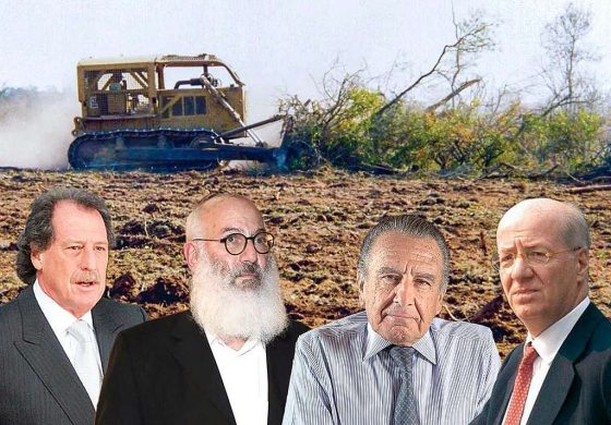 Jorge Brito, Eduardo Elsztain, Eduardo Eurnekian, Paolo Rocca, entre los empresarios que destruyeron bosques argentinos