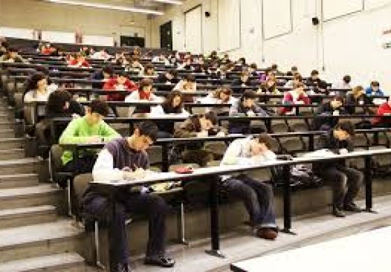 universidad.jpg
